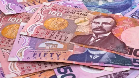 Govt offers $45m to NZ businesses