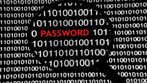 Govt mulls cyber security awareness advisory group