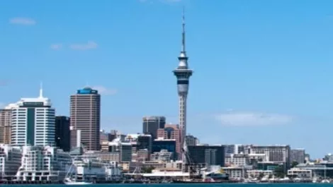Innovation network to launch in Auckland