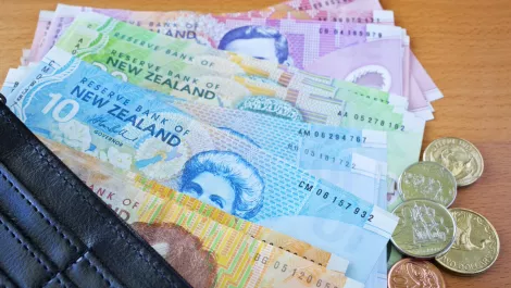 Inland Revenue hunting out software companies