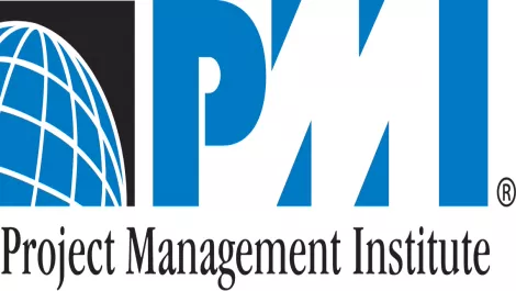 Transpower surges ahead with PMI's standards and credentials