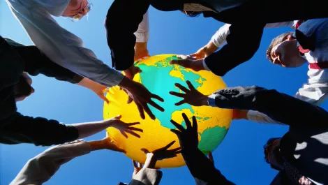 Auckland Museum's data puts NZ on the map among global leaders