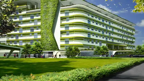 Living greenwalls better than fake alternatives