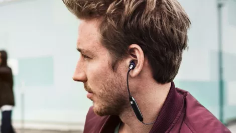 Senn headphones