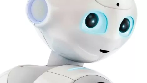 Pepper
