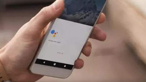 Google sire