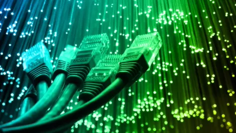 Fibre