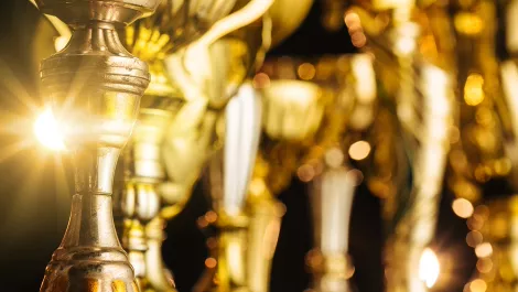 Soda Inc nominated for Westpac Waikato Business Award