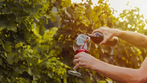 Gettyimages 1032284430