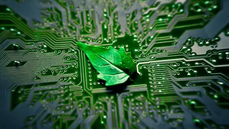 Gettyimages 515707183